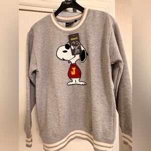 Peanuts Snoopy Varsity Sweatshirt Gray Embroidered Graphic Pullover Small